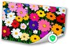 Bloemen, Pop Art, Roze, geel, wit, oranje, groen
