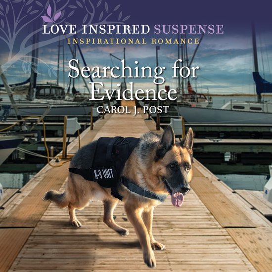 Searching for Evidence - cover