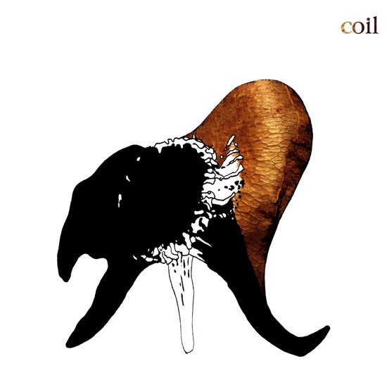 Coil albumhoes met zwart silhouet en gouden, visgraatachtig patroon.