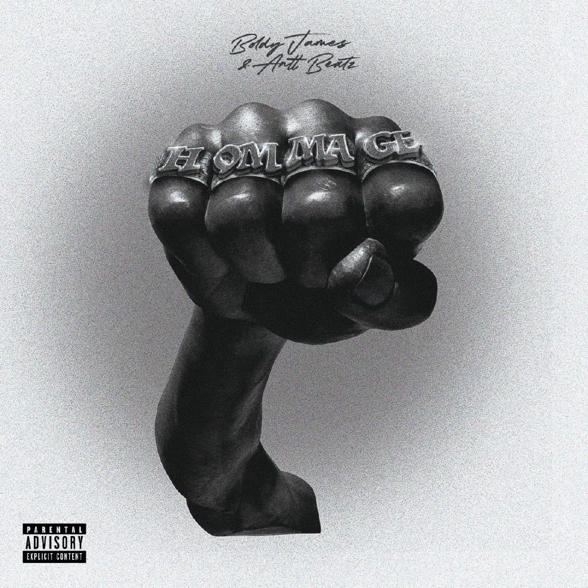 Boldy James & Antt Beatz - Hommage (LP)