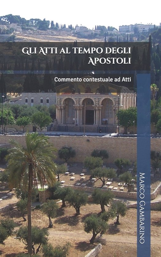 Capire Il Nuovo Testamento- Gli Atti al tempo degli Apostoli - cover