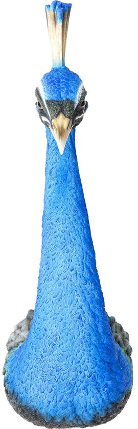 Kare Wanddecoratie Peacock