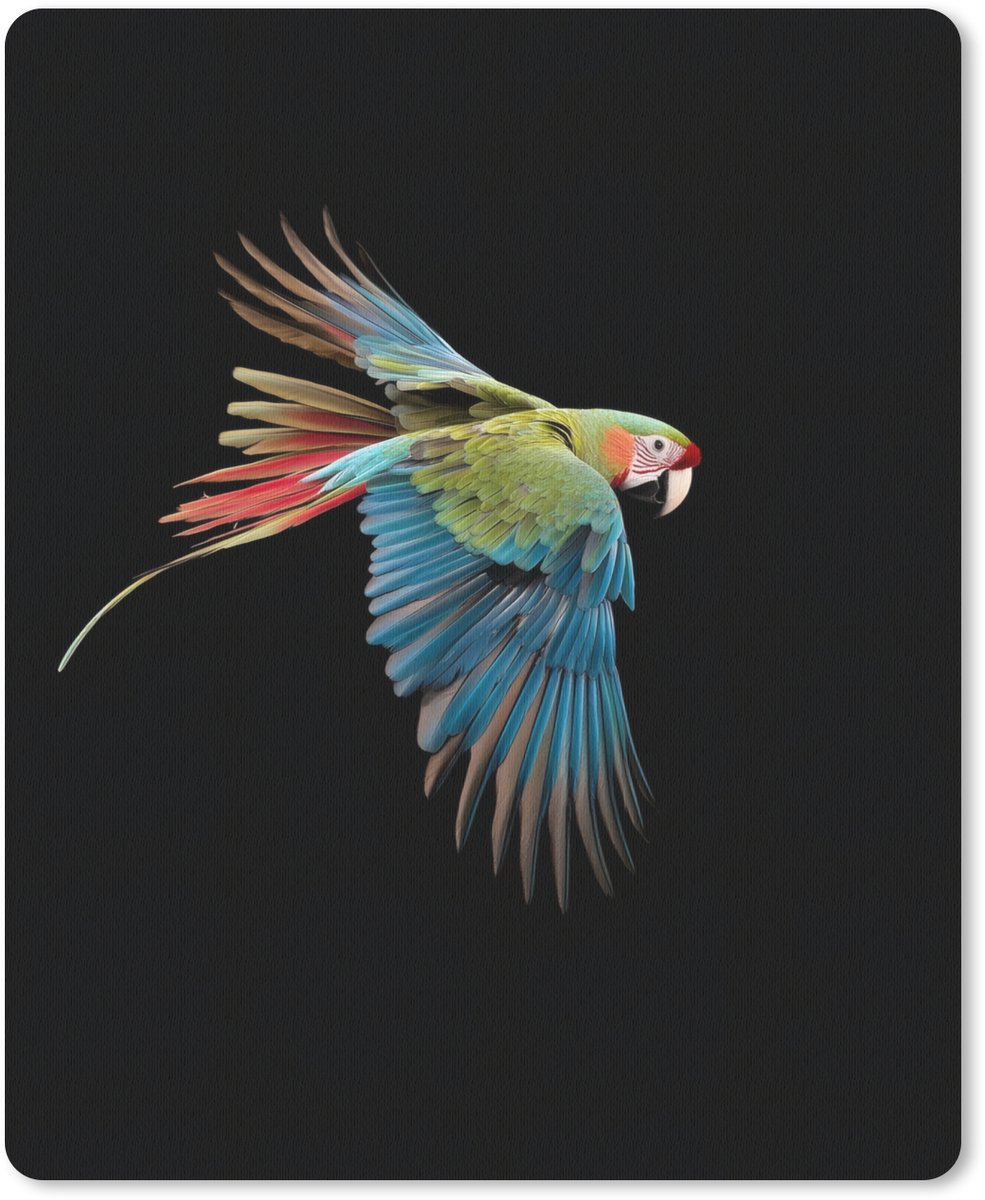 Muismat 19x23 cm - Mousepad Papegaai - Kleurrijk - Vleugels - Sierlijk - Muismatten