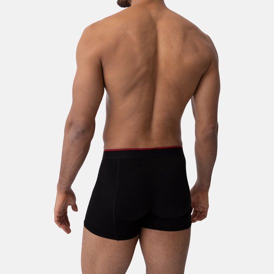 DANISH ENDURANCE Boxers de Bamboe Men's Sous-vêtements - confort de port ultime - 6 paires - Taille L