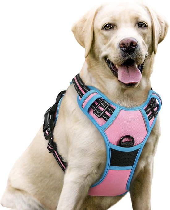 Hondentuigje Kleine Middelgroot Hond Puppy, Verstelbaar