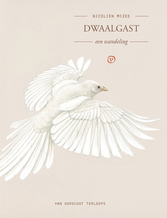 Terloops - Dwaalgast