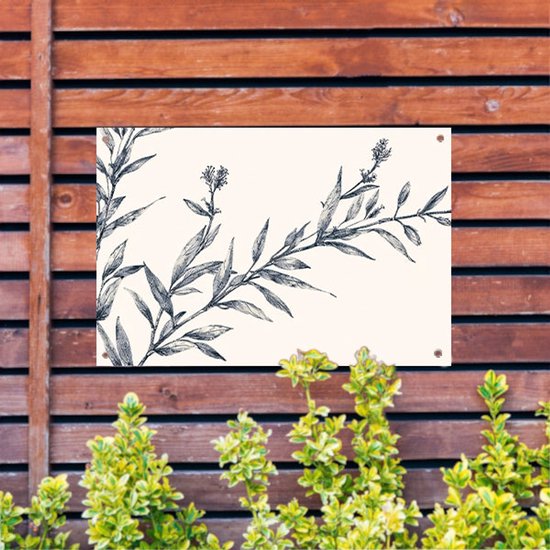 Botanische lijntekening met details - Planten buitenposter - Tuinschilderij bladeren - Lijntekening - Weerbestendige tuinposter - Tuindecoratie wanddecoratie - Tuinposter 150x100 cm