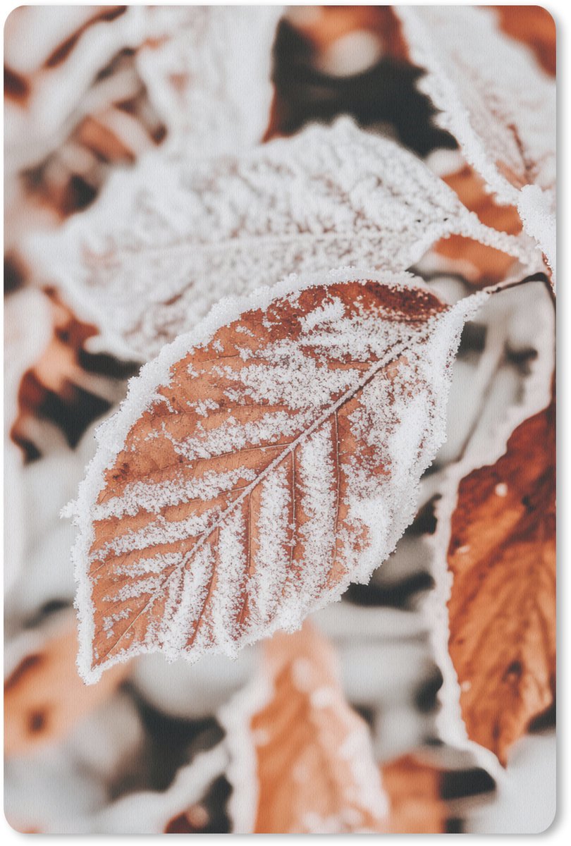 Muismat 18x27 cm - Mousepad Bladeren - IJs - Winter - Natuur - Muismatten