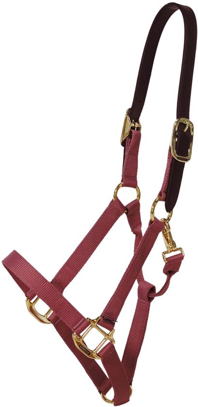 Kentucky Horsewear - Nylon halster Wellington bordeaux Pony Kentucky Horsewear - Nylon halster Wellington bordeaux Pony