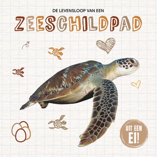 Uit een ei! - De levensloop van een zeeschildpad