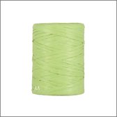 Luxe Cadeaulint - Raffia Lint - Paper Lint - Lime Groen - 100 meter - 5mm - Hobbylint - Versierlint - Papier