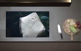 Inductieplaat Beschermer - Onderaanzicht van Rog zwemmend tegen Aquarium - 80x52 cm - 2 mm Dik - Inductie Beschermer van Vinyl
