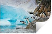 Muurstickers - Sticker Folie - Pinguïns op Antarctica duiken het water in - 60x40 cm - Plakfolie - Muurstickers Kinderkamer - Zelfklevend Behang - Zelfklevend behangpapier - Stickerfolie