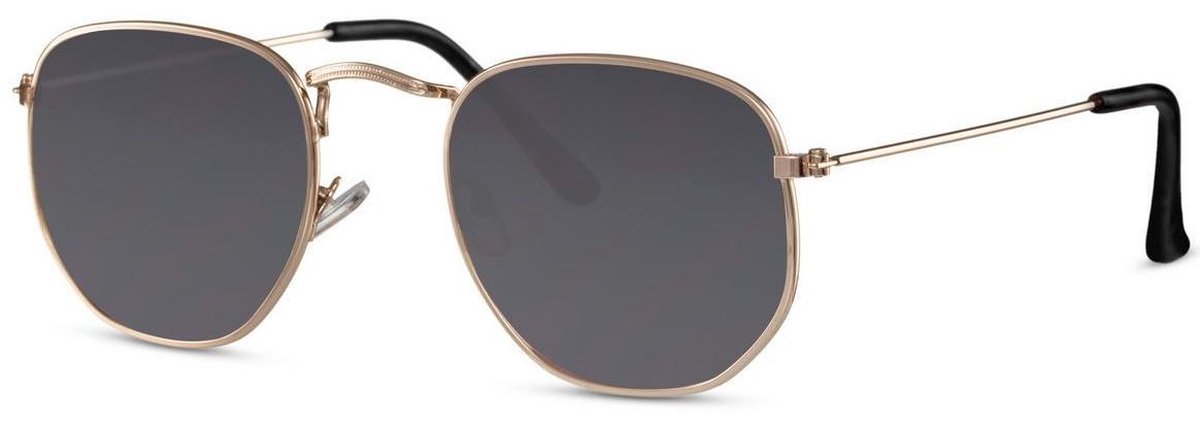 Cwi Zonnebril Unisex Goud/smoke (cwi2411)