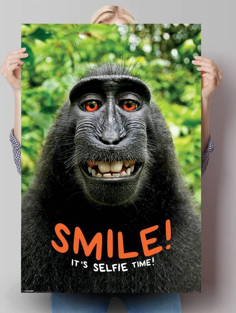 REINDERS Smile! Tijd voor een bol | - - aap Poster 61x91,5cm selfie