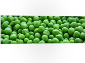 PVC Schuimplaat- Doos Gevuld met Groene Erwten - 90x30 cm Foto op PVC Schuimplaat