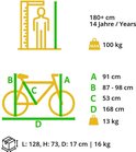 Schema met afmetingen voor een fiets: lengte 168cm, zadelhoogte 87-98cm, framehoogte 53cm.