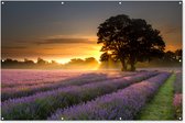 Muurdecoratie Mayfield lavendel veld met een mistige zonsopgang - 180x120 cm - Tuinposter - Tuindoek - Buitenposter