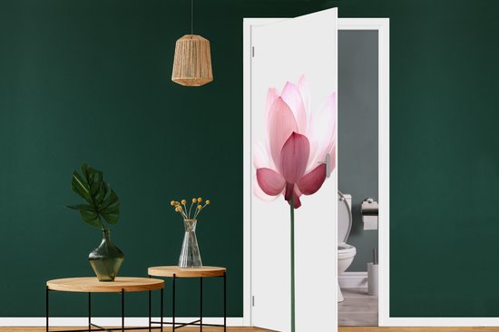 Deursticker Bloemen - Roze - Natuur - Botanisch - 95x215 cm - Deurposter