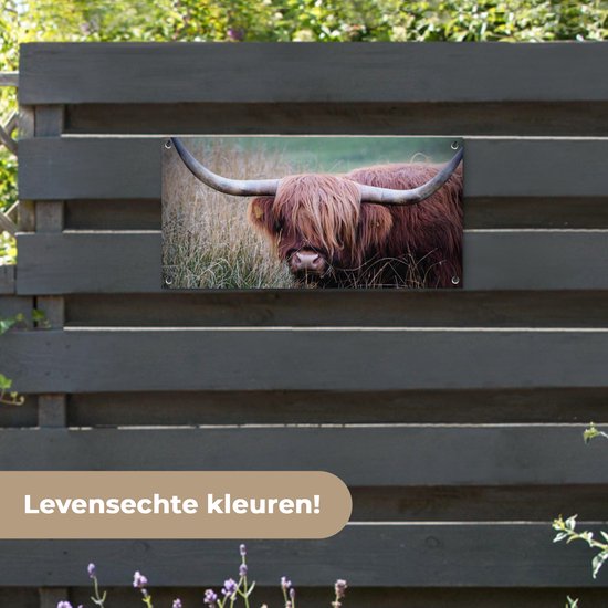 Tuinposter 80x40 cm - Tuindecoratie Schotse Hooglander - Hoorns - Gras - Poster voor in de tuin - Buiten decoratie - Schutting tuinschilderij - Tuindoek muurdecoratie - Wanddecoratie balkondoek