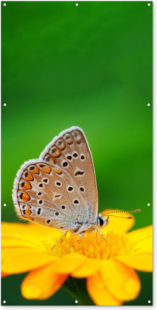 Tuinposter