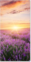 Tuinposter - Bloemen - Lavendel - Zon - Wanddecoratie - 100x200 cm - Tuindoek - Muurdecoratie