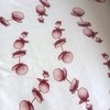 Pink eucalyuptus