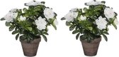2x Groene Azalea kunstplanten witte bloemen 27 cm in pot stan grey - Kunstplanten/nepplanten