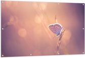 Tuinposter – Dromerige Blauwe Vlinder op Plant - 150x100 cm Foto op Tuinposter (wanddecoratie voor buiten en binnen)