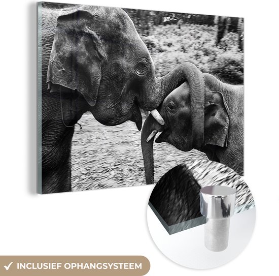 MuchoWow® Peinture sur verre 180x120 cm - Peinture sur verre acrylique - Éléphant - Animaux - Nature - Zwart et blanc - Photo sur verre - Peintures