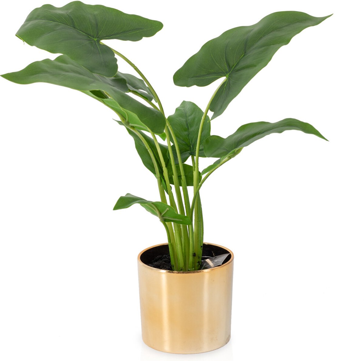 Alocasia kunstplant in pot