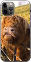 Coque iPhone 12 Pro - Highlander écossais - Clôture - Herbe - Siliconen