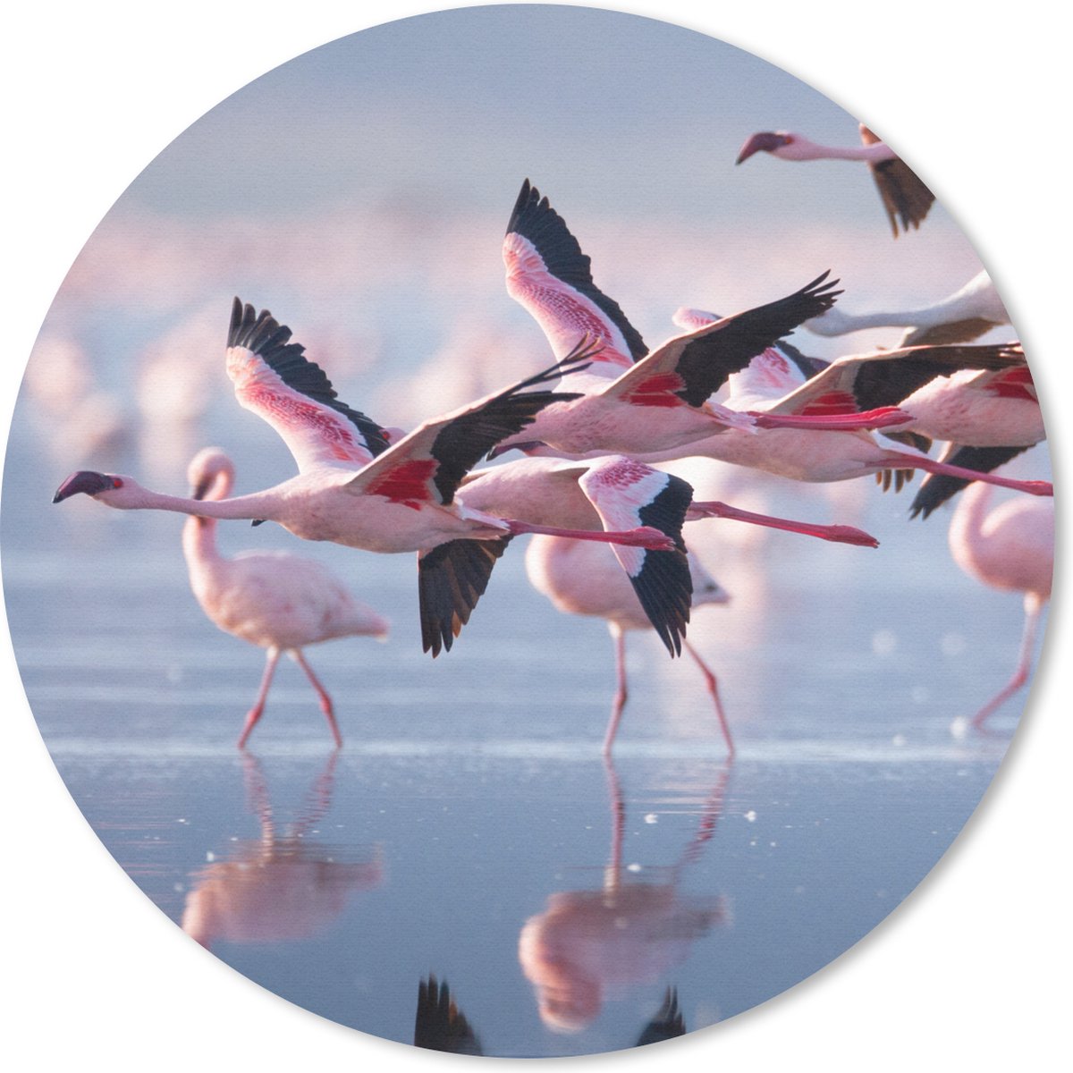 Muismat rond 20x20 cm - Mousepad Flamingo - Vogel - Water - Roze - Ronde muismatten