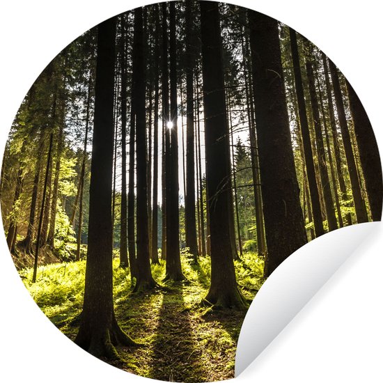 WallCircle - Stickers muraux - Cercle Papier Peint - Arbre - Nature - Soleil - Forêt - 120x120 cm - Cercle Mural - Auto Adhésif - Sticker Papier Peint Rond XXL