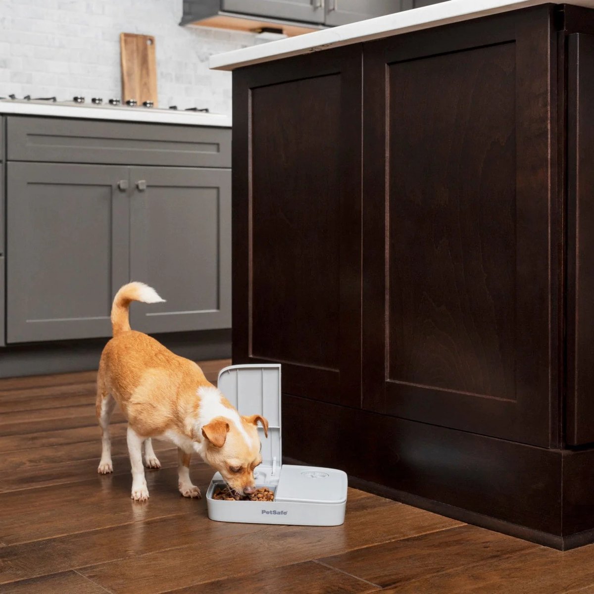 PetSafe Automatische Voerbak Kat en Hond - 2 x 150 gr thumbnail 5