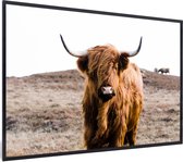 PosterMonkey - Cadre photo - Poster - Animaux - Highlander écossais - Nature - Vaches - Cadre poster - 30x20 cm - Cadre - Poster nature - Tableau avec cadre - Décoration d'intérieur - Poster Highlander écossais