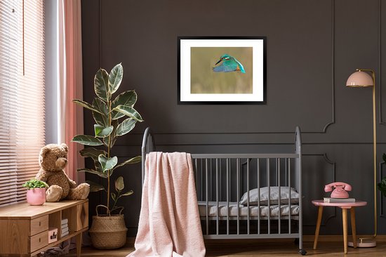 Cadre photo avec affiche - Martin-pêcheur - Ciel - Coloré - 80x60 cm - Cadre pour affiche