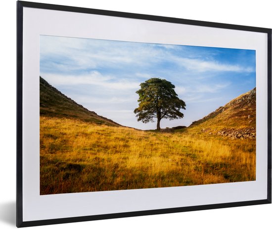 Fotolijst incl. Poster - Sycamore Gap Tree bij de Britse Muur van Hadrianus - 60x40 cm - Posterlijst
