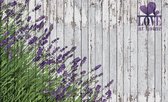 Fotobehang - Vlies Behang - Lavendel op Hout - 254 x 184 cm