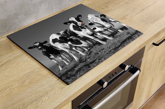 KitchyMist Inductie Beschermer 60x52 Cm - Olifanten Familie In De Savanne Bij Zonsondergang 60x52 Cm Afdekplaat Voor Kookplaat Inductie Mat Keuken Spatscherm