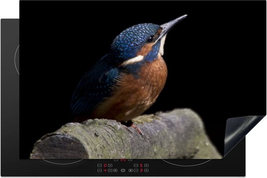 Een inductiebeschermer met een ijsvogel op een tak, op een kookplaat.