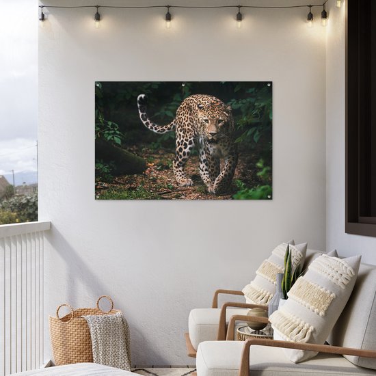 Affiche de jardin - Toile de jardin - Posters de jardin extérieur - Animaux sauvages - Léopard - Jungle - Nature - 120x80 cm - Jardin