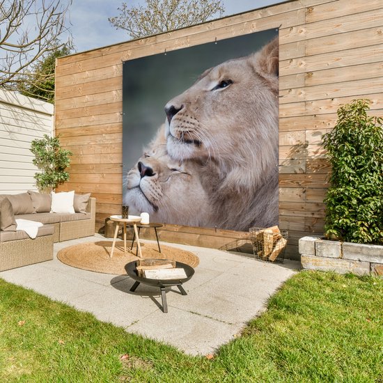 Affiche de Jardin Lion - Animaux sauvages - Big Five - 200x200 cm - Toile jardin - Affiche extérieure