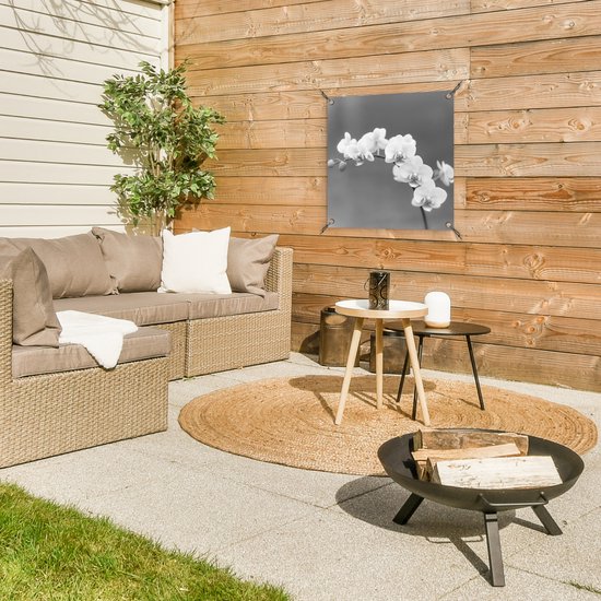 Posters de jardin Orchidée - Fleurs - Plante - Wit - Violet - 50x50 cm - Toile jardin - Affiche extérieure