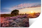 Muurstickers - Sticker Folie - Bloeiende heide tijdens zonsondergang in Nederland - 120x80 cm - Plakfolie - Muurstickers Kinderkamer - Zelfklevend Behang - Zelfklevend behangpapier - Stickerfolie