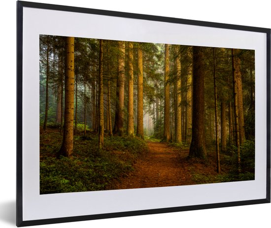 Fotolijst incl. Poster - Bos - Natuur - Bomen - Landschap - Bladeren - 60x40 cm - Posterlijst