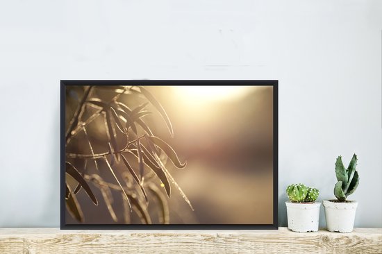 Cadre photo - Feuilles d'eucalyptus dans le cadre photo aube noir 60x40 cm - Affiche sous cadre (Décoration murale salon / chambre)