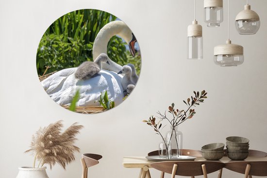 WallCircle - Cercle Mural - Cercle Mural - Cygne - Water - Source - Aluminium - Dibond - 140x140 cm - Intérieur et Extérieur