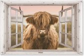 Tuinposter Schotse hooglander - Doorkijk - Pastel - 90x60 cm - Tuindoek - Buitenposter