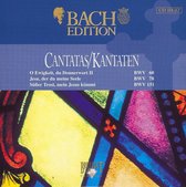Bach: Cantatas BWV 60-78 & 151
